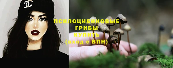 альфа пвп Богородицк