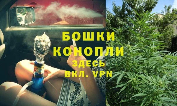 гашик Богородск