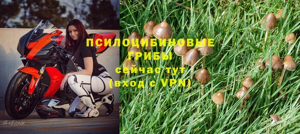 альфа пвп Богородицк
