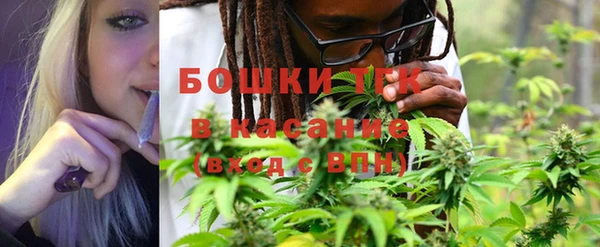 PSILOCYBIN Бородино