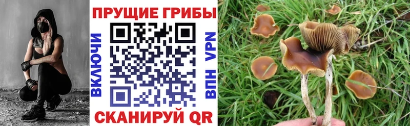 Галлюциногенные грибы мухоморы  Котово 
