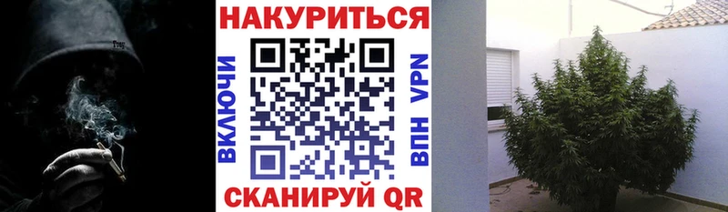 сколько стоит  Котово  Канабис Ganja 